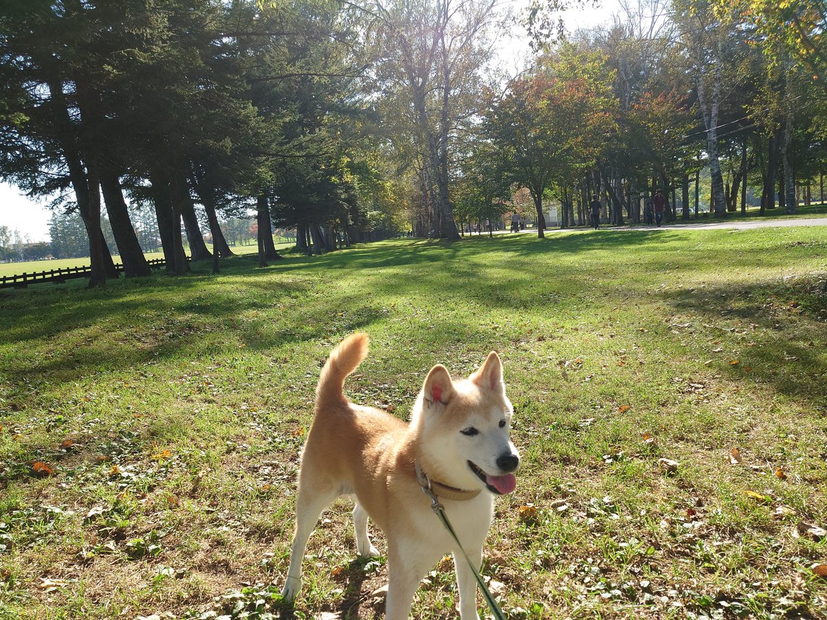 miapoon tweet picture