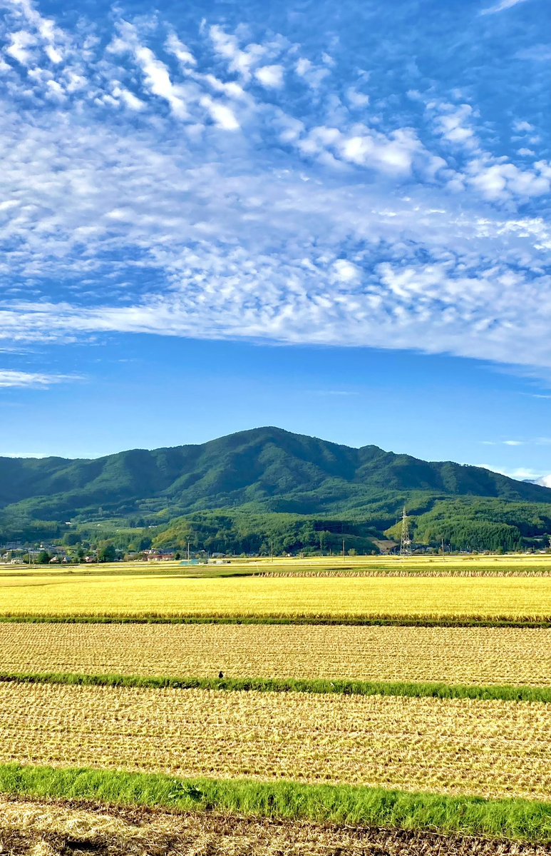 tonomuseum's tweet photo. 秋の風景 https://t.co/XVEcHtzxxs