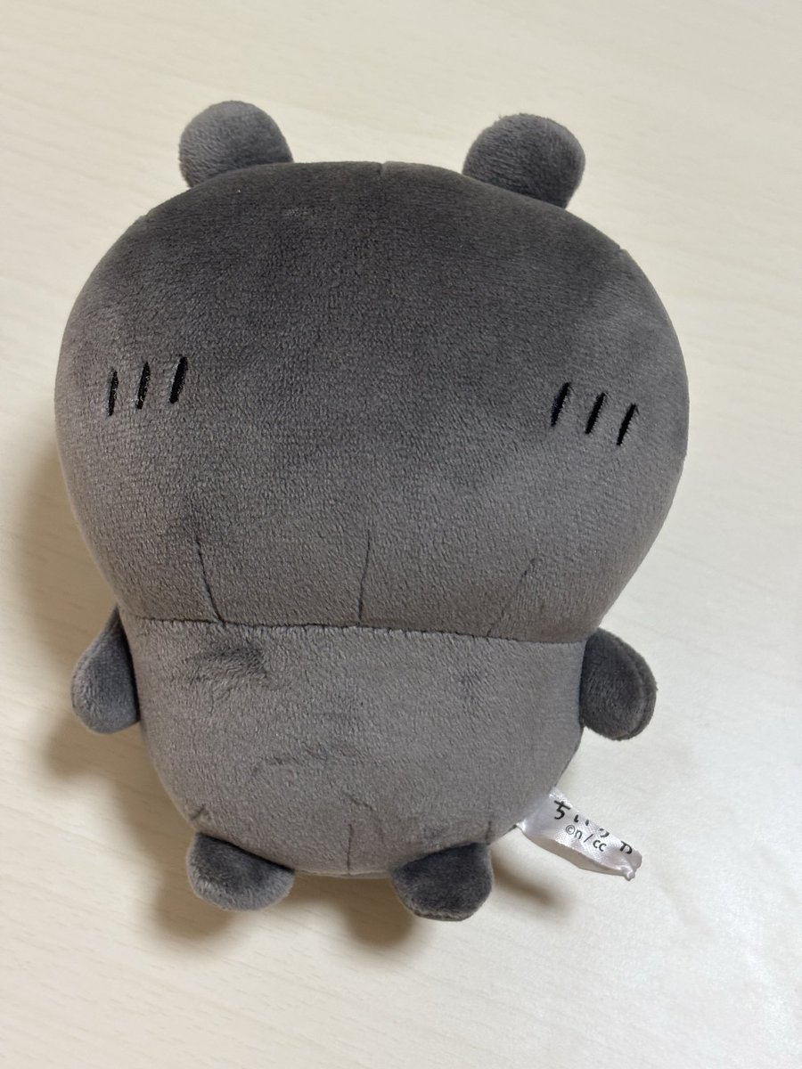 h_ai15's tweet photo. 立ち寄ったお店にモブカニちゃんがいたので連れ帰りました🦀📚 https://t.co/5OFp3PrcWE