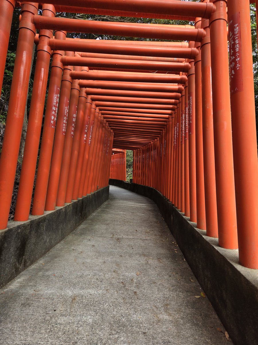 tks_ymgc's tweet photo. 続いて～福徳稲荷神社💡
高台にあるから景色も最高\( ᐛ )/
鳥居⛩️300mの先に展望あるから行ったはいいものの...
帰り登り300mはキツかったヾ(:3ヾ∠)_ https://t.co/t6VdUPw3mm
