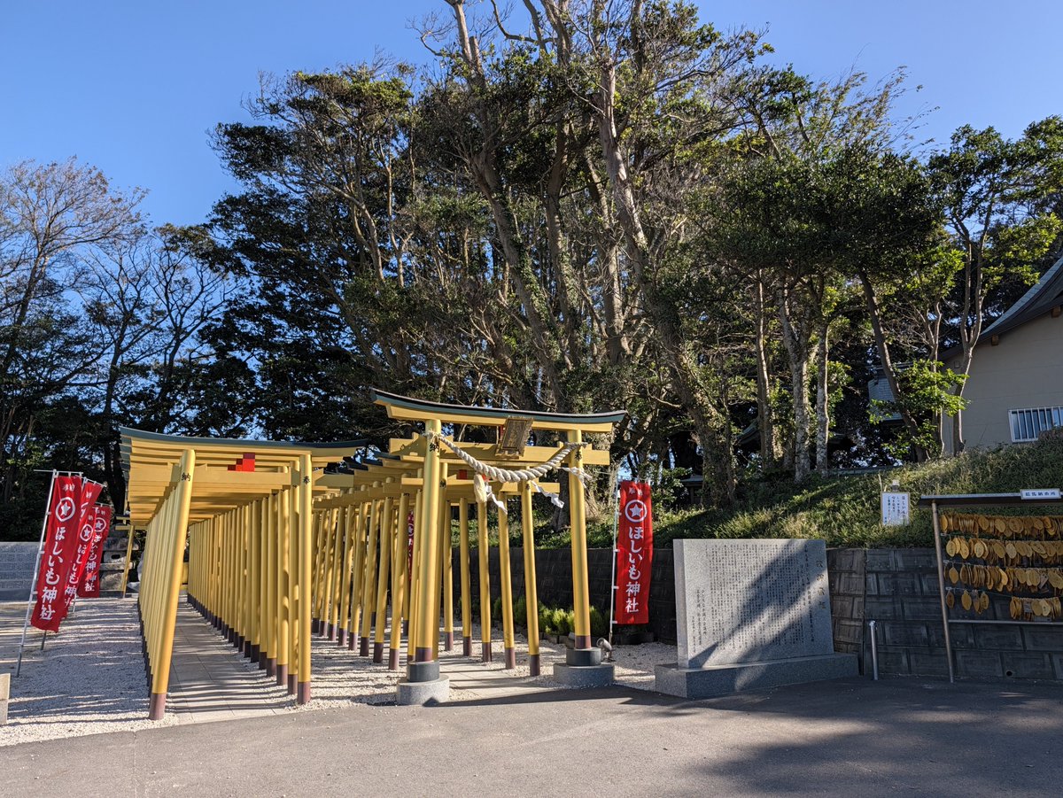 kasa416's tweet photo. ほしいも神社
絵馬がほしいもの形 https://t.co/OdESkyUE4q