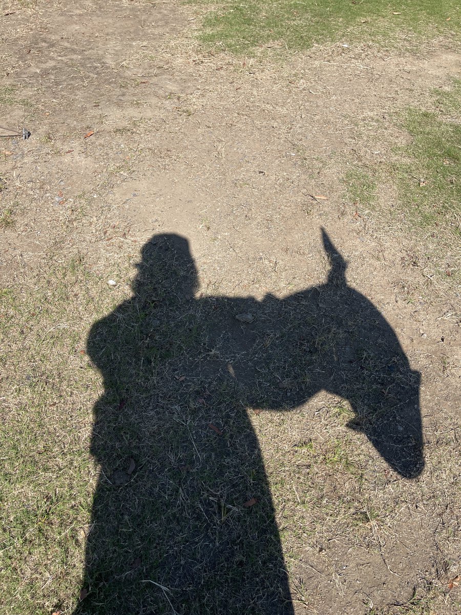 yosinosan's tweet photo. まさかの特賞www

坤ちゃんのコスプレで一日中マグロを小脇に抱えて過ごすハメに

#富士コス https://t.co/BLARqfz0Gk