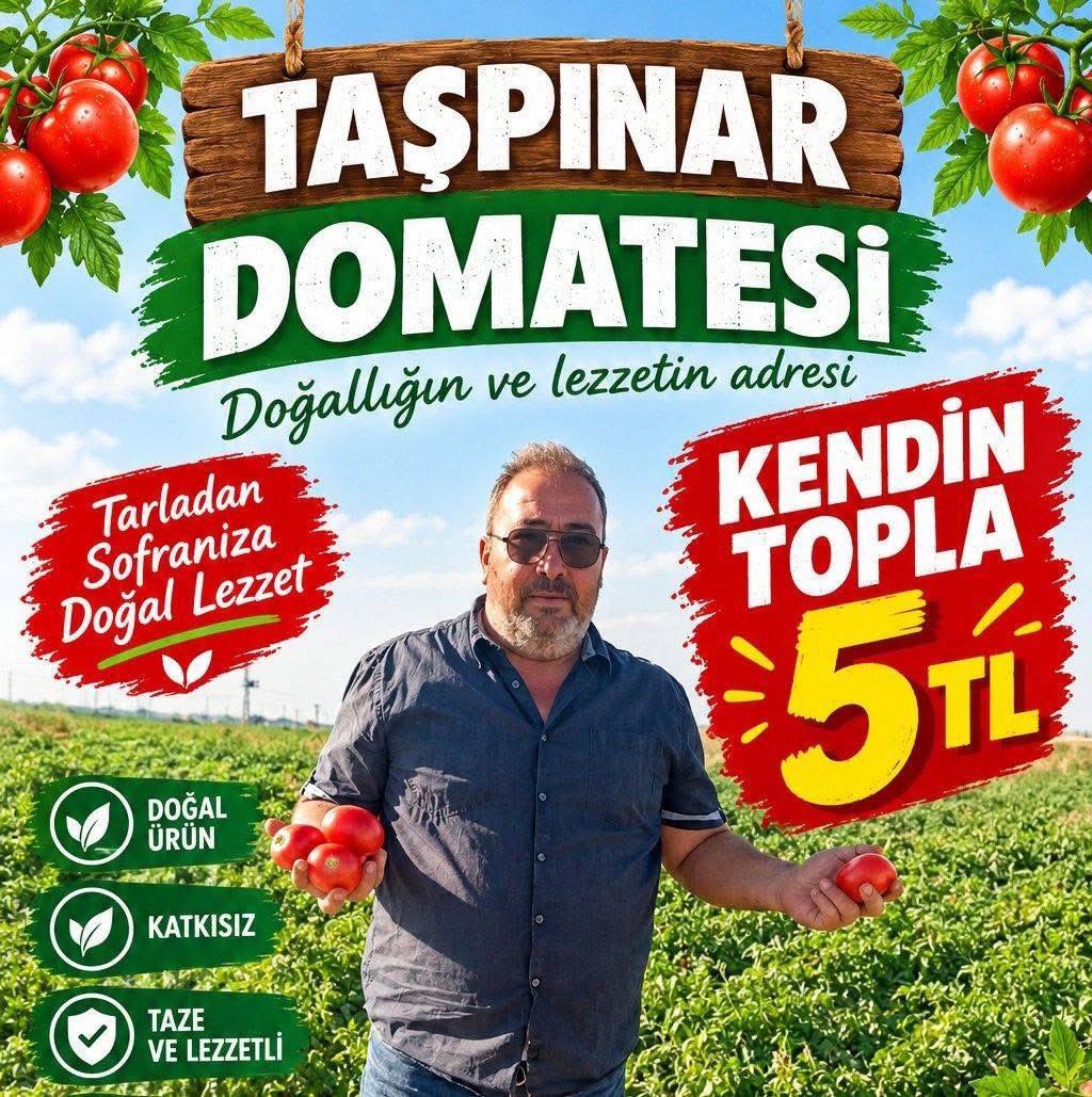 aksarayarttv's tweet photo. TARLADAN KENDİN TOPLA: KİLOSU 5 TL! 

Aksaray Taşpınar’da me��hur domates kampanyasında YARIN (PAZAR) SON GÜN! Salça, sos ve menemenlik için son fırsat!Dalından Kendin Topla: Sadece 5 TL!
Konum ve bilgi için üreticiye hemen ulaşın:
👤 Soner DEMİRTAŞ
📞 0542 527 00 68
📍 Taşpınar https://t.co/IPtJ7CpqKR
