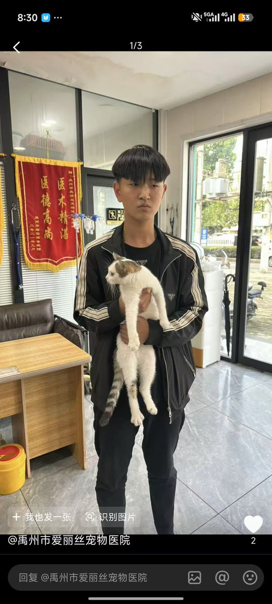 Mizu09587295's tweet photo. 李长景
容明轩
方子宇
17岁 
虐猫手段恶劣 极其残忍 https://t.co/d7JoJ9CtM3