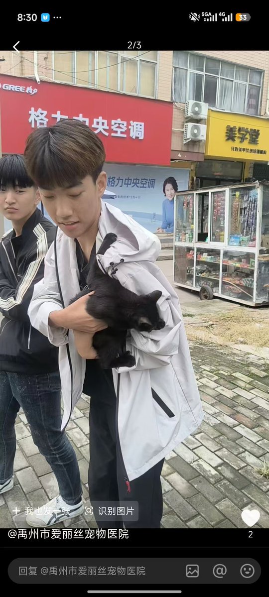 Mizu09587295's tweet photo. 李长景
容明轩
方子宇
17岁 
虐猫手段恶劣 极其残忍 https://t.co/d7JoJ9CtM3