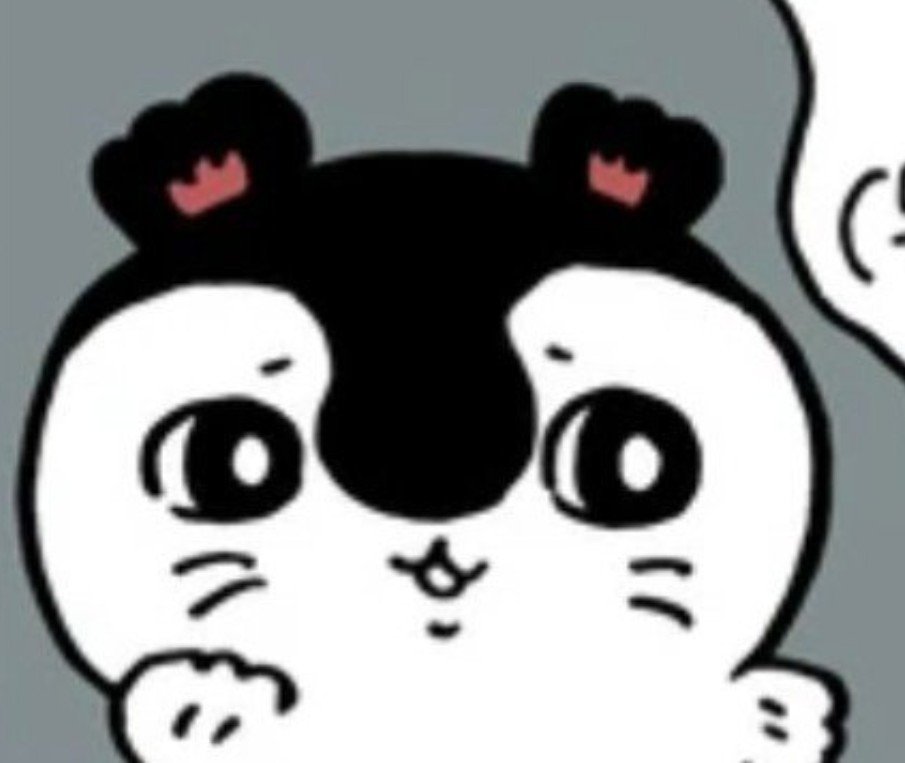 Ohmygochidon's tweet photo. 킬각을 재는 표정 (너무귀여워~) https://t.co/wQQNGjqEcM