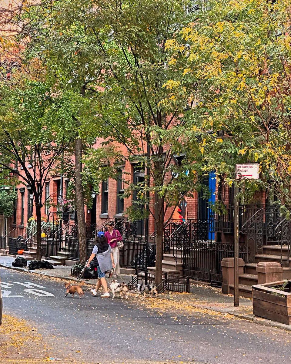 WildscapeWonder's tweet photo. Fall in West Village of New York https://t.co/xD6GFoahZe