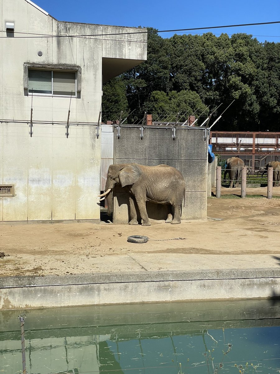 psharizum's tweet photo. 動物��に行ってきたお https://t.co/6hNp0hHQJC
