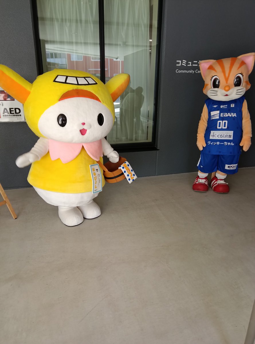 cc_hanedaasahi's tweet photo. フォトスポットは１５時５分までです😀
急いできてね😄

#コミュニティセンター羽田旭　#大田区　#羽田　#オープニング　#はねぴょん　#ヴィッキーちゃん https://t.co/eeeHwE0gM5