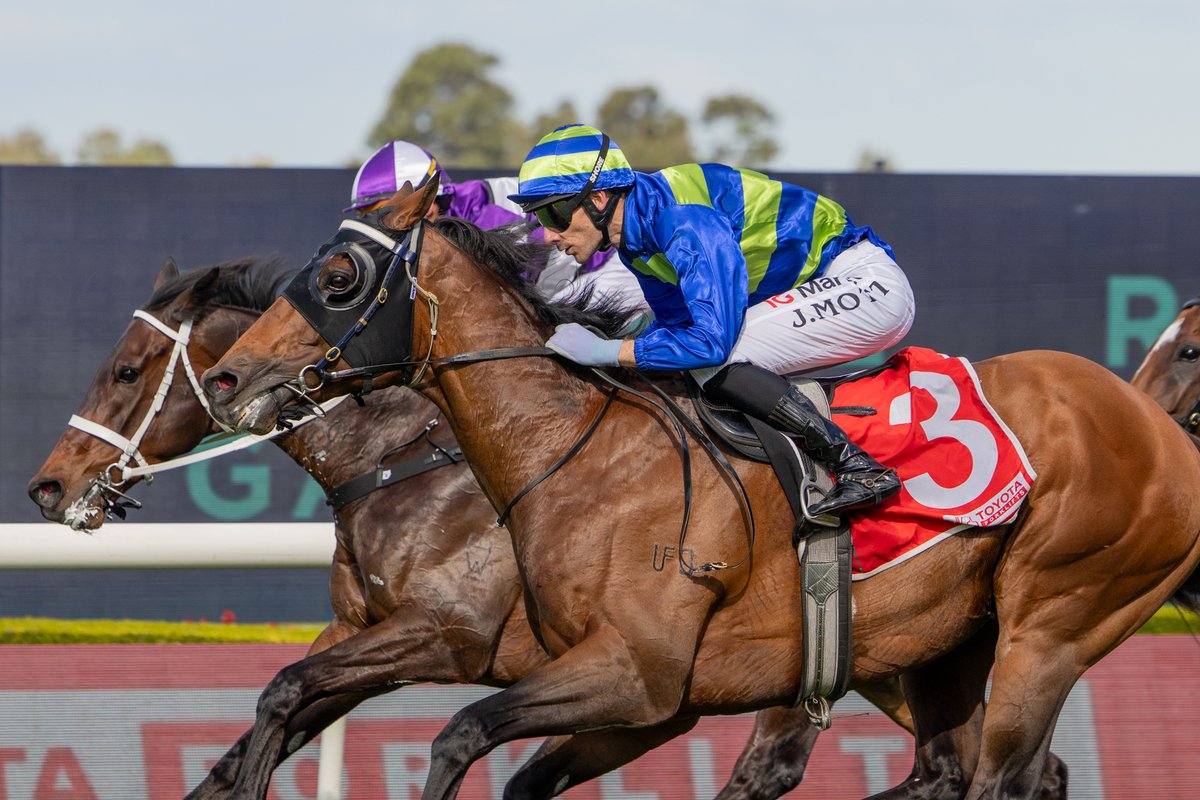 inglis_sales's tweet photo. ATTRITION (Churchill) wins his second $2m G2 Hill Stakes in the past 3 years - he finished 2nd in the other renewal - with a strong victory @aus_turf_club. He's a $180k #InglisPremier buy for his trainer @Freedmanmitch from  @millparkstud. Attrition has now won almost $4.4m in prizemoney, of which $2.7m has come in Hill Stakes'!