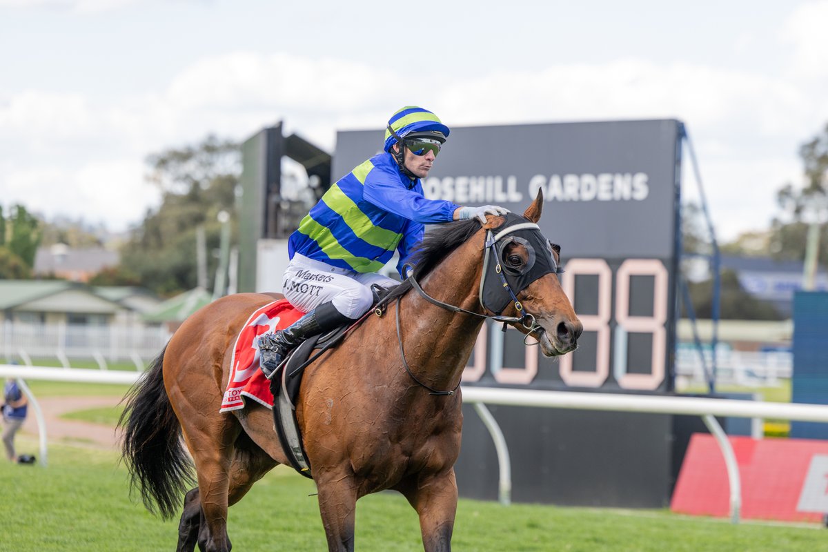 inglis_sales's tweet photo. ATTRITION (Churchill) wins his second $2m G2 Hill Stakes in the past 3 years - he finished 2nd in the other renewal - with a strong victory @aus_turf_club. He's a $180k #InglisPremier buy for his trainer @Freedmanmitch from  @millparkstud. Attrition has now won almost $4.4m in prizemoney, of which $2.7m has come in Hill Stakes'!
