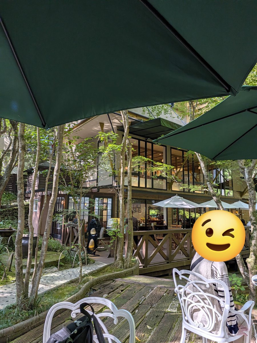 himaXSnow's tweet photo. 山のおしゃれなcafe☕✨ https://t.co/g3StjpcZRf