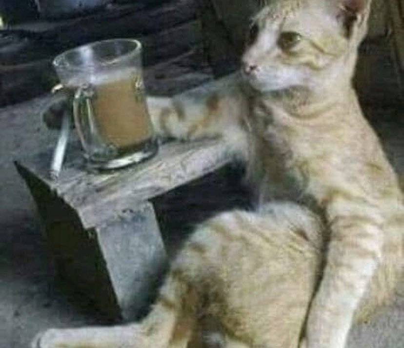 67Agadir53ac's tweet photo. يشبهني كل صباح، لني أروح الجامعه بدري عشان آخذ راحتي في تنفس الأكسجين بدل البيت https://t.co/yarIUR43q0