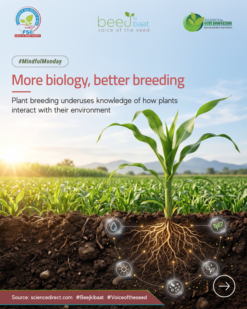 FSII_India's tweet photo. Plant biology could strengthen predictive breeding as environments change, an article in Trends in Plant Science argues.
Read: https://t.co/UY5FTXTSik
@ElsevierConnect
#CropImprovement #FSII #VoiceOfTheSeed #BeejkiBaat #MindfulMonday https://t.co/8dwZVjwKJl