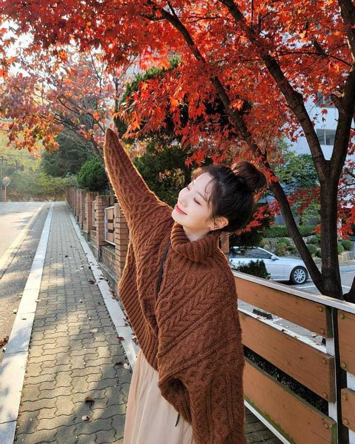 dubushop0528's tweet photo. 🍁 https://t.co/n6yU7eLYAR