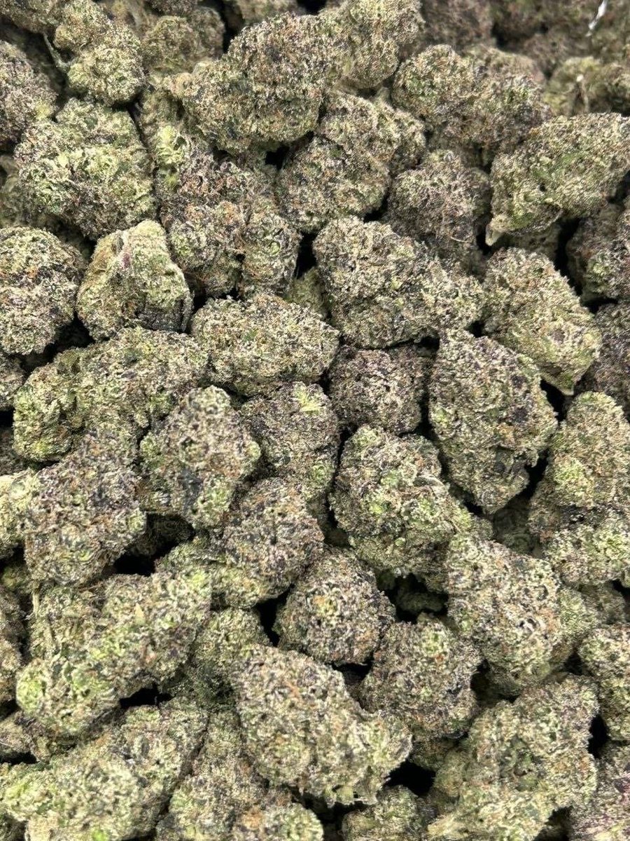 _Exoss_'s tweet photo. Delivery Live 🚚💨
Weed Los Angeles Weed San Diego weed San Jose Weed San Francisco weed Fresno Weed Sacramento weed Long Beach Weed Oakland weed Bakersfield Weed Anaheim weed Santa Ana Weed Riverside weed Stockton Weed Irvine weed Chula Vista. https://t.co/DUPWiboKWe
