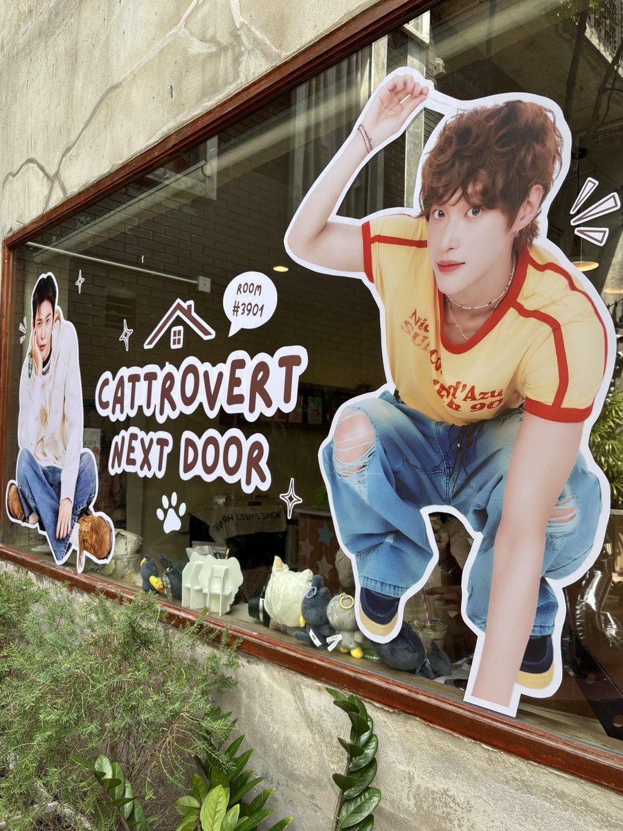 julymalon's tweet photo. 🐈🐈⬛
#CattrovertSB #3901room https://t.co/J41Gce6qRb