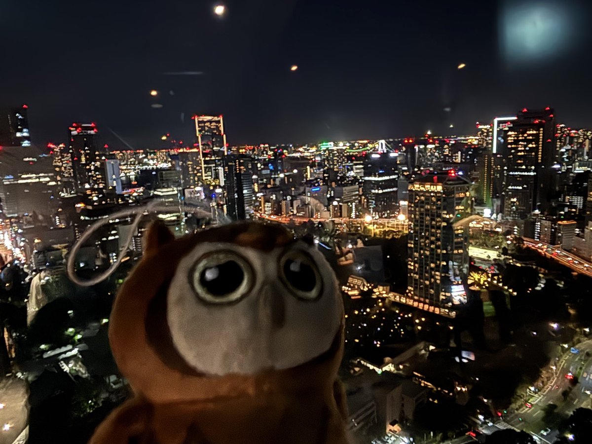 hiroteacafe's tweet photo. 展望デッキはハロウィン仕様でした🗼
東京タワーからの眺め綺麗だったね…マンマル
#lovelive #Liella https://t.co/1GNiVWCghG