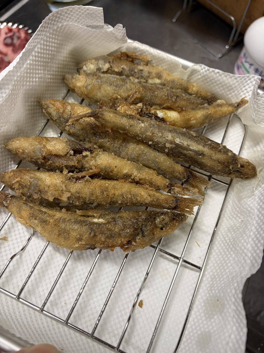 masabows's tweet photo. 宿舎に帰宅。

今日は外食しないと言うのでご馳走作ります。

先ずはメヒカリの唐揚げ。 https://t.co/fuKnqMZlfR