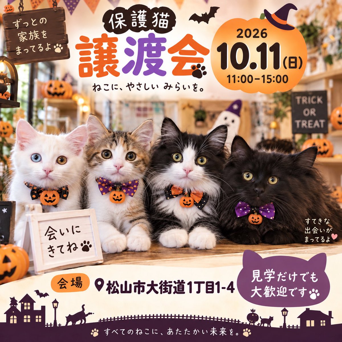 n_kurase's tweet photo. 10/11日（日）譲渡会開催します‼️
ずっとの家族を探しています😻是非、会いに来てね💕︎  #RT希望 #わにゃんこ愛媛 #個人ボランティア  https://t.co/LmgrY0DotH https://t.co/GF6JKvzrRh
