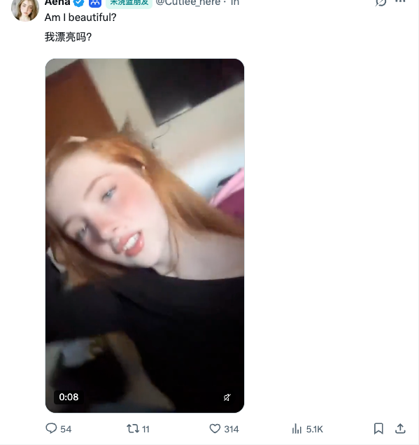 GeekQ1ng's tweet photo. 为什么我主页推荐流全是各国妹妹？ https://t.co/Utf39WhDcx