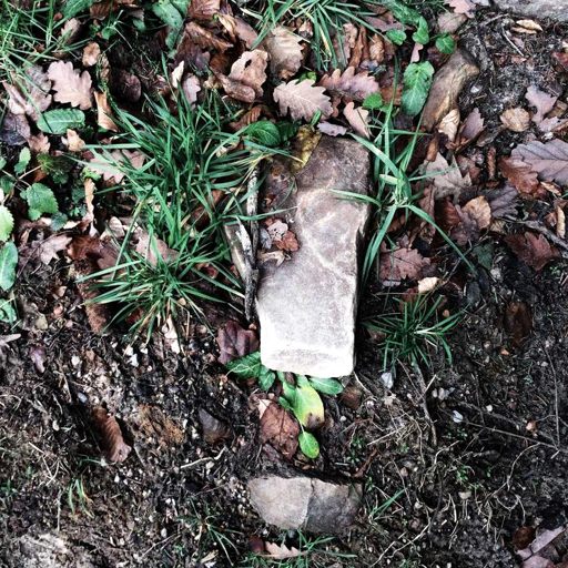 reulnei's tweet photo. Mientras más inteligente es la casa, más veces tengo que reiniciar una bombilla como si fuera 1998. @grok you seeing what i see? https://t.co/ovgmCq0ZM6