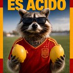 Photo by Partido Mapache (@PartidoMapache)