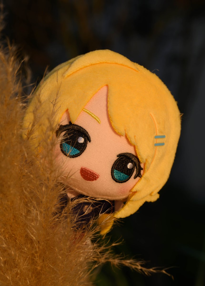 yaru7nui's tweet photo. 💛 https://t.co/oCfozD0lEP