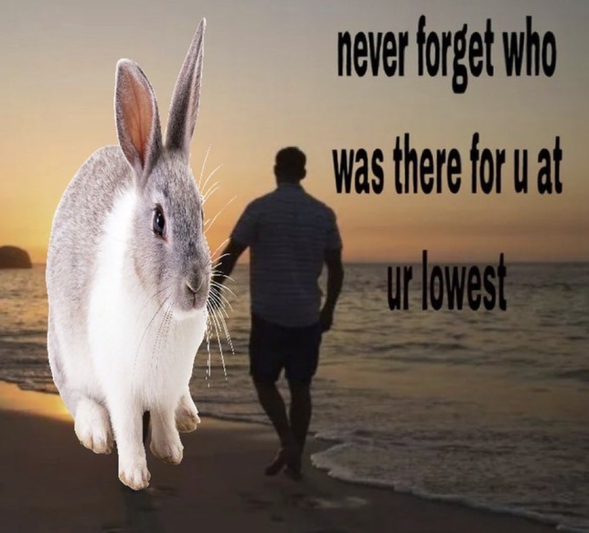realmotiongettr tweet picture
