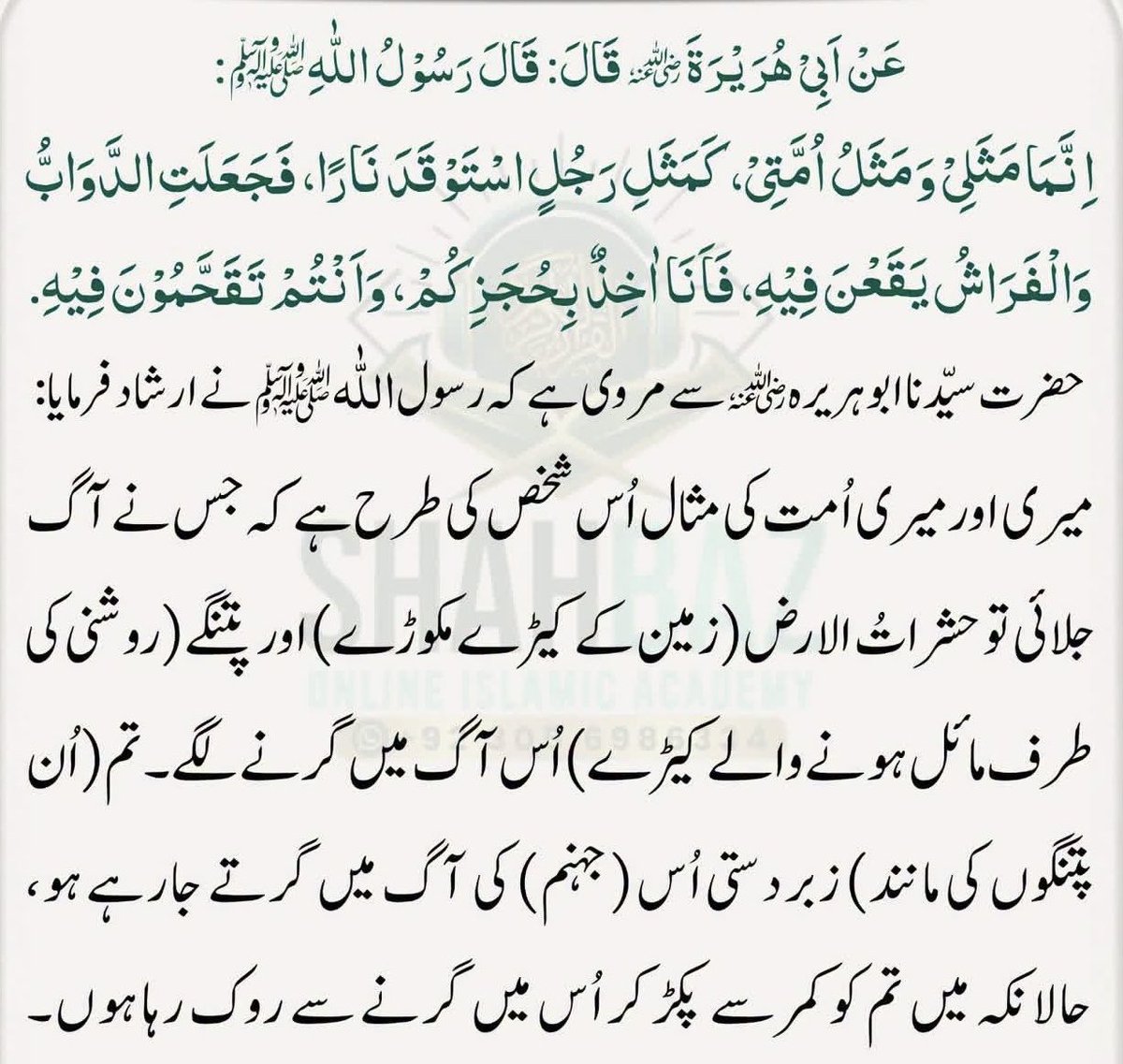 AbidSherAli's tweet photo. https://t.co/nFTVCW0S9m