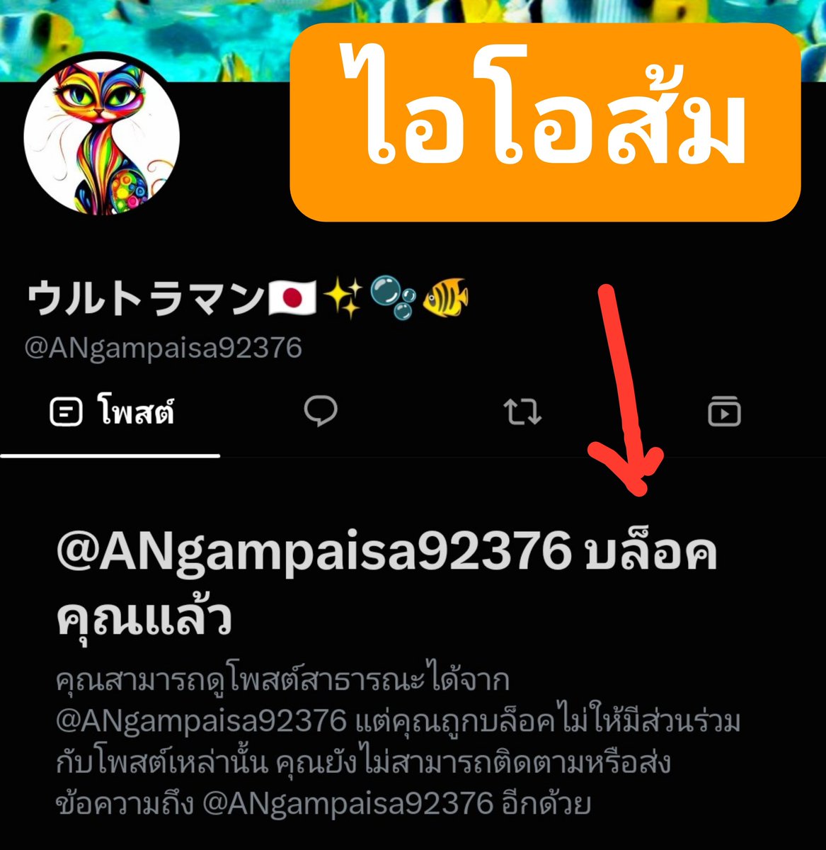 PorametThailand's tweet photo. @jjookklong3 #ไอโอส้ม น่าสมเพช ชิบ โดนจับได้ แม่มบล็อกหนีเฉย ปลดบล็อกมาคุยดันก่อนนน ไม่งั่นกุส่ง #BRN ไปถล่มรัง #SpectreC มึงน้าา https://t.co/woVFa5RoAe