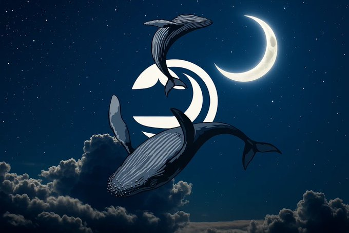 savaneedwards's tweet photo. @Eggheadfx @bluwhaleai bluwhaleai is clear 📌 https://t.co/KQv6hbOetZ