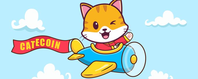 Cate_SoIana's tweet photo. The Official Catecoin ( $CATE ) Game Is Live😺

Every great coin has a story. Ours has a cat, a sunset, and now a high score to beat.

Today we’re launching the official Catecoin game, built for the people who’ve been here since day one and for everyone who’s about to join them.

How to play the Catecoin game and how holders can earn from that⤵️

1/2😺