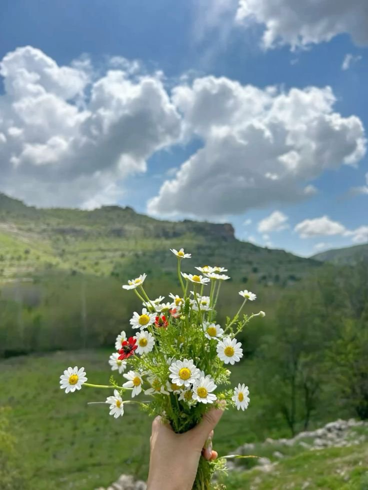 FLOWERS3700's tweet photo. https://t.co/tAdSOWN9LQ