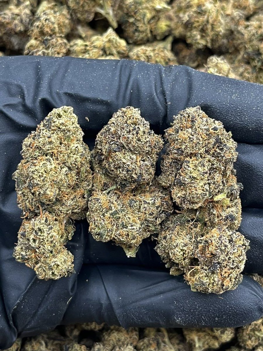 kingpuff12's tweet photo. Weed London,Birmingham, Manchester,Liverpool,Leeds, Sheffield,Bristol,Coventry,Leicester, Nottingham,Newcastle upon Tyne, Bradford,Kingston upon Hull, Plymouth,Southampton,Stoke-on-Trent,Wolverhampton,Derby,Brighton and Hove,Portsmouth,Sunderland, Norwich,York, Oxford, Cambridge. https://t.co/1iVBdiFZey
