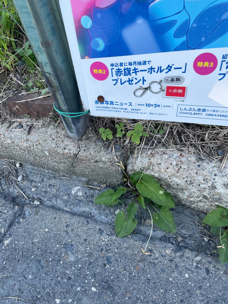 blackghostfish's tweet photo. さよくって深く考えたことなくて、人として当たり前の道やと思ってた、全ての人にとって　でもそうじゃないらしい https://t.co/P7M6Z1WrcC