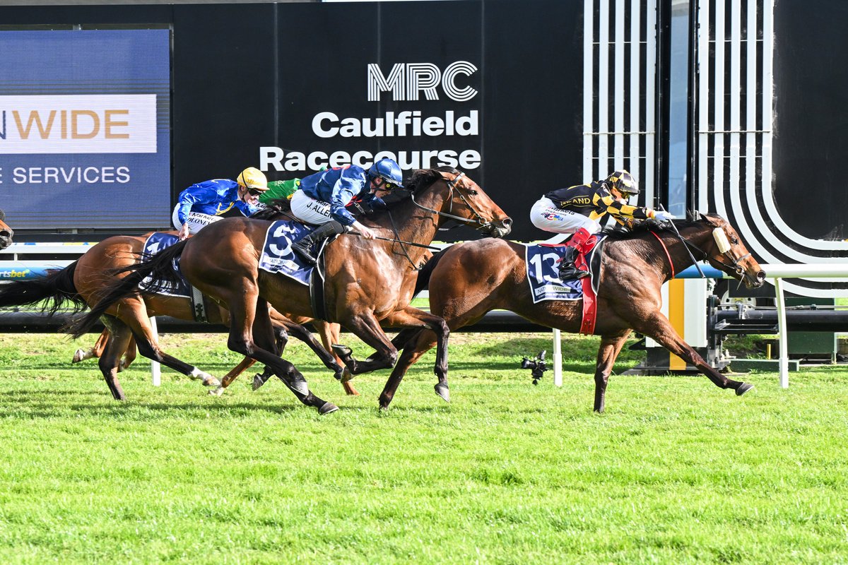 inglis_sales's tweet photo. Congratulations to connections of PERSIAN SPIRIT (Cable Bay), winner of the Listed Weekend Hussler Stakes @MelbRacingClub for @symonwilde. The 6YO is a $6k #InglisPremier bargain buy for @GrandSyndicates and @PriceBloodstock from @stockwell_tb https://t.co/tSyhkRShcS