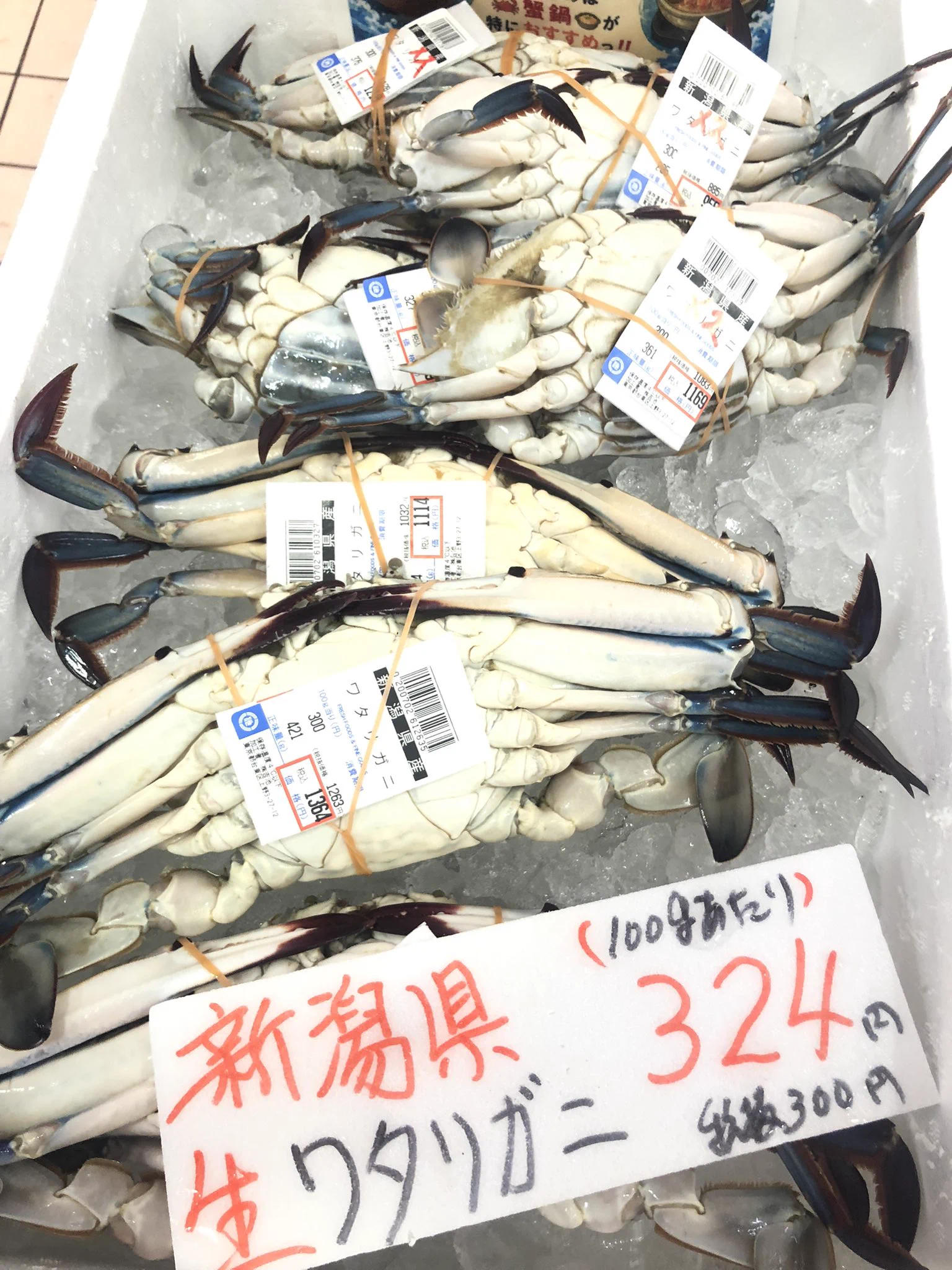 吉池 on X: 