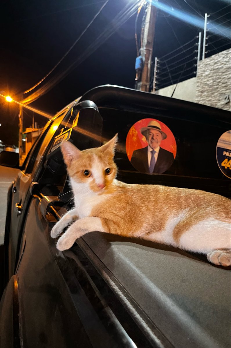 hannassg's tweet photo. e minha filha é Lula tb e vai tomando https://t.co/hr51bXjCDw