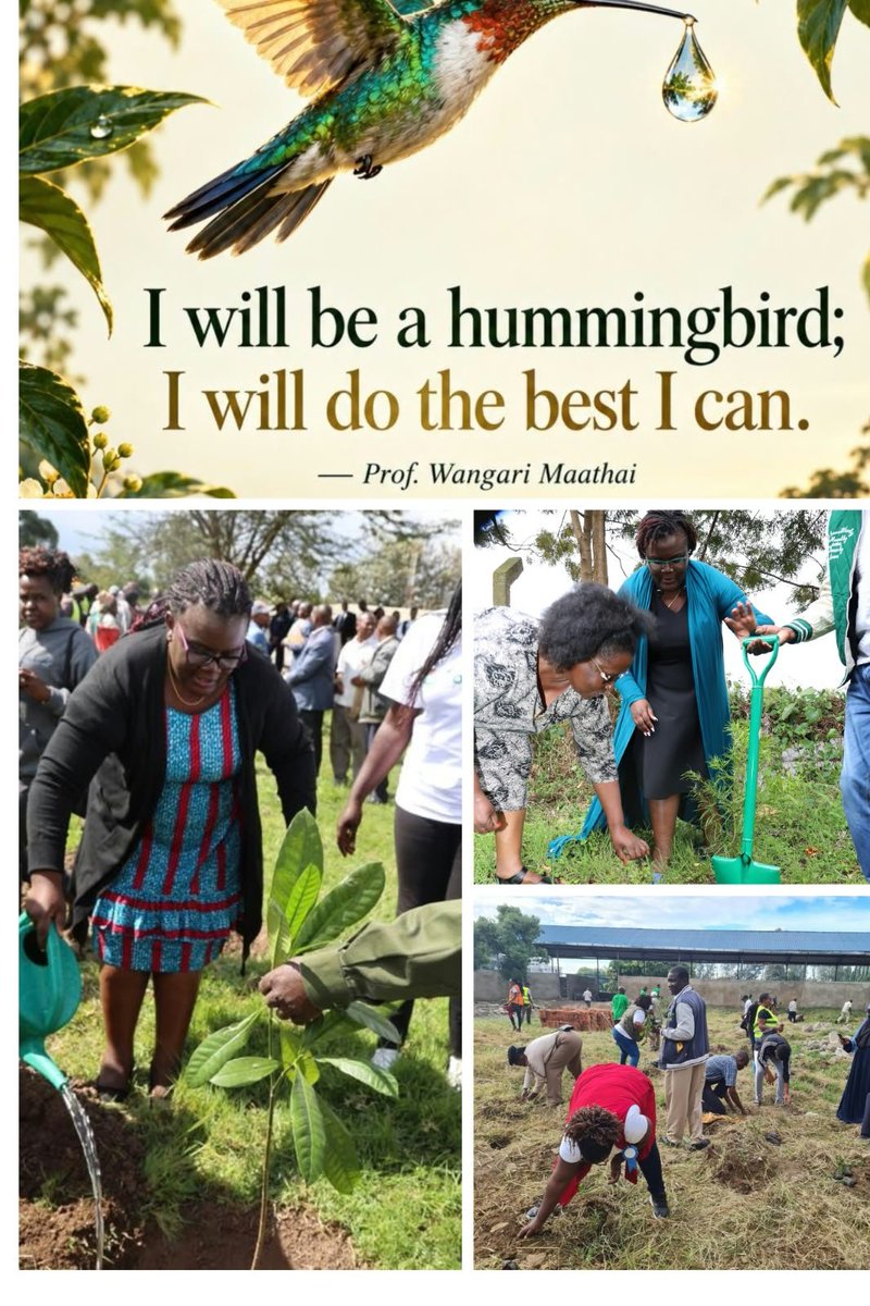 Ingutiah's tweet photo. Happy Mazingira Day! 🌿

We all share a responsibility to keep our environment clean, safe and sustainable. 

Let us make caring for our environment an everyday commitment. 

The choices we make today shape the world we leave for future generations.

Our environment. Our collective responsibility.
