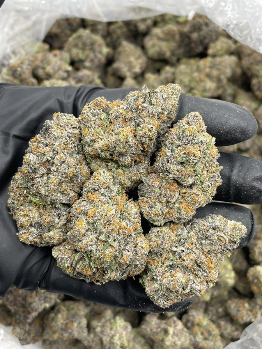 Swismoke420's tweet photo. Party Poppers 🔥 https://t.co/eliprX0t3f