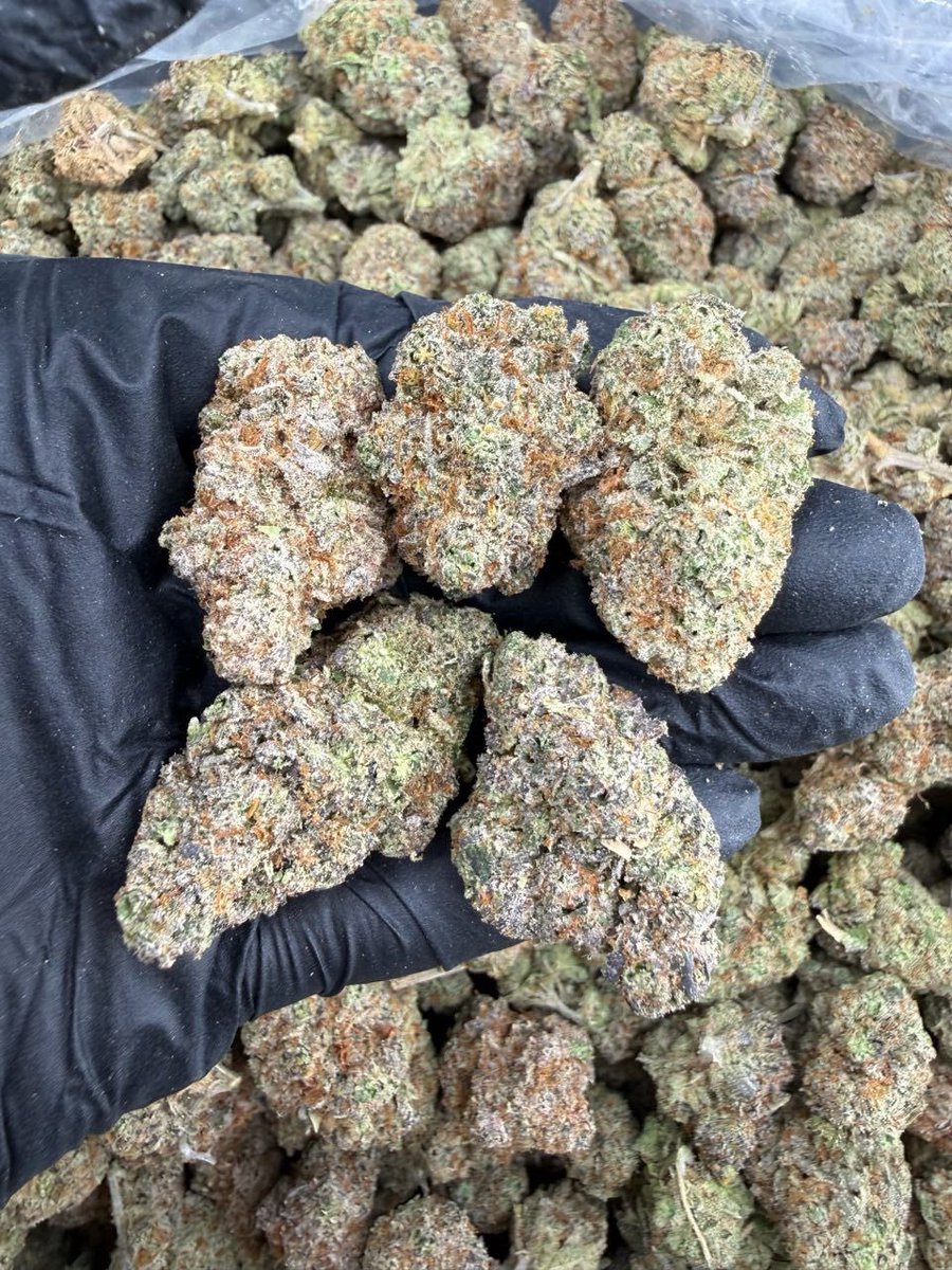 Swismoke420's tweet photo. Runtz 

(Exotic candy nose 👃 🔥) https://t.co/ZIrfTOv7ru
