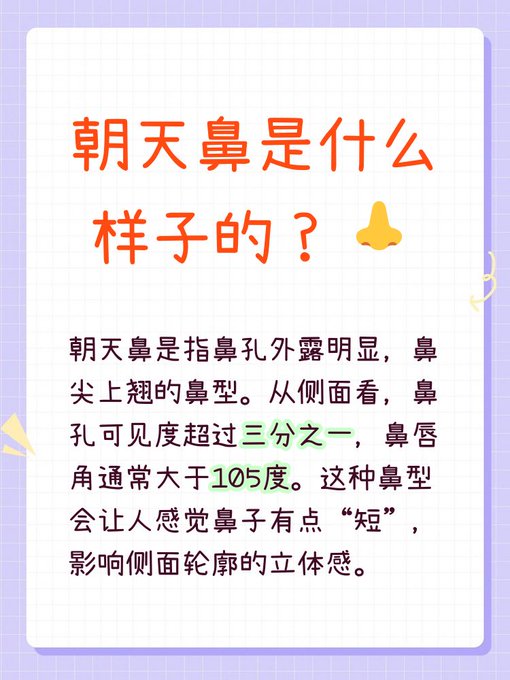 A Chinese infographic with purple text on a white grid background titled "朝天鼻是什么样子 的？" (What does a朝天/upturned nose look like?) with an explanation describing it as having visible nostrils with the tip pointing upward, where nostril visibility exceeds one-third and the nasolabial angle is greater than 105 degrees.
