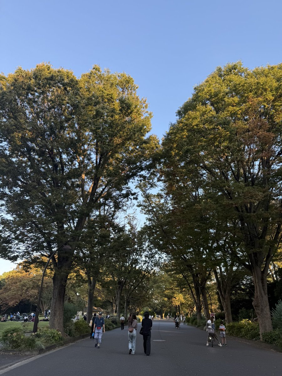 chikoxsdt's tweet photo. 5歳まで駒沢に住んでてよく遊びに来てたけど、ほとんど覚えてない駒沢公園 https://t.co/yzvhbNAgjI