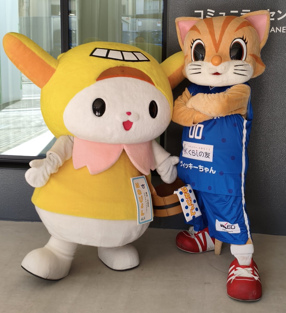 gogohanepyon's tweet photo. 今日も仲良し😄
#はねぴょん #ヴィッキーちゃん https://t.co/3m1OjZlxhK