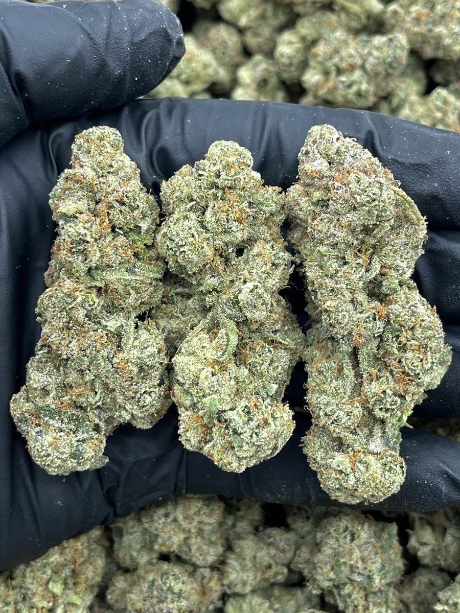 Swismoke420's tweet photo. Blue Nerds

(Exotic candy nose) https://t.co/TGwCwH3Uhu