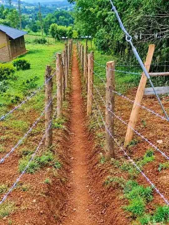 FlorenceKimonyi's tweet photo. Apa usiku kama wewe ni mlevi itabidi ungoje zishuke ndio upite. https://t.co/OVZffAnXje