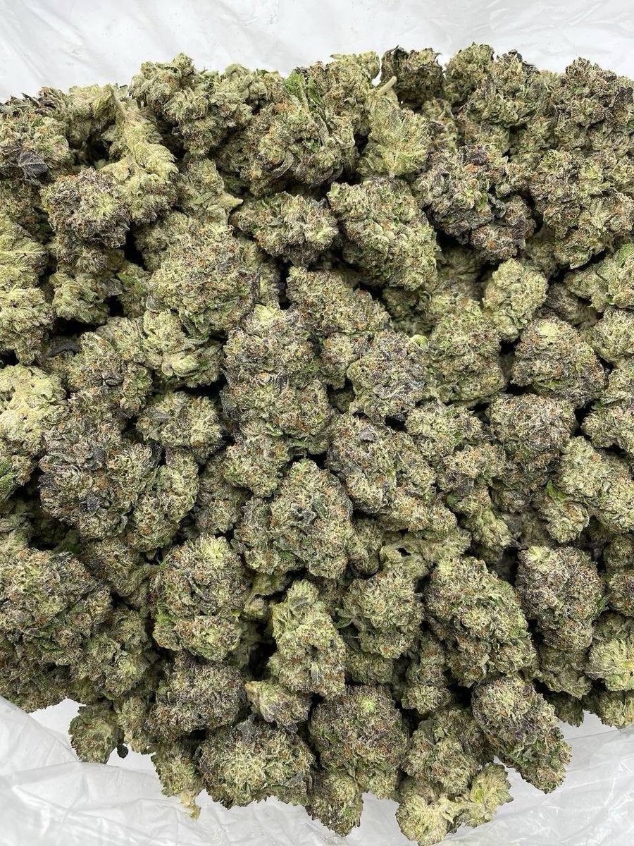 Swismoke420's tweet photo. Weed Zürich, Geneva, Basel, Lausanne, Bern, Winterthur, Lucerne, St. Gallen, Lugano,Bienne, Thun, Bellinzona, Köniz, La Chaux-de-Fonds, Fribourg, Schaffhausen, Neuchâtel, Le Locle, La Chaux-de-Fonds, Val-de-Ruz, Val-de-Travers, Boudry, Cortaillod, Peseux, Hauterive, Colombier. https://t.co/7s8iBOQ5Hx