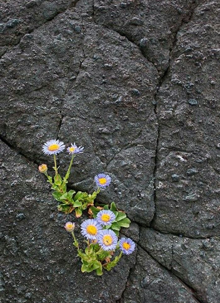lunecrumbss's tweet photo. the evidence of hope https://t.co/Gr9C18lTEF