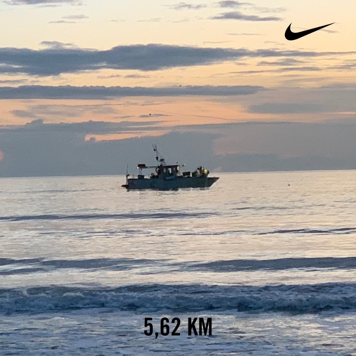 OwlRunning tweet picture